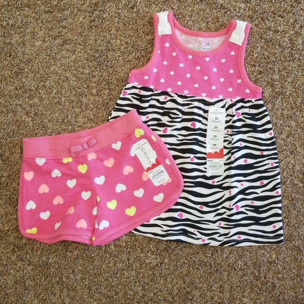 2T short and tshirt set